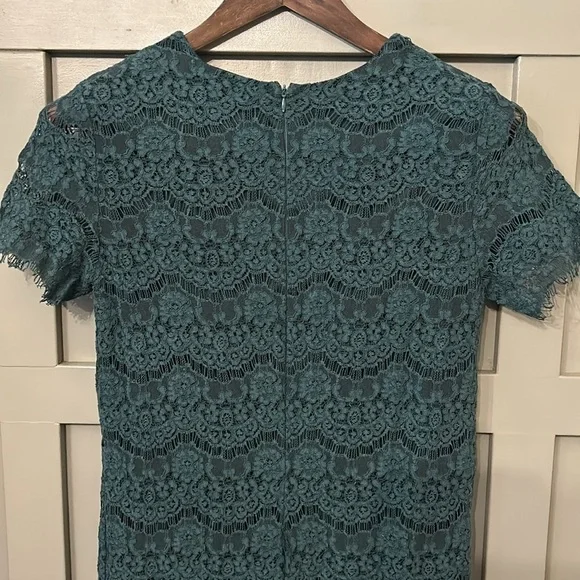 Lulus Take Me to Brunch Dark Green Lace Shift Dress Size Small - Picture 10 of 12